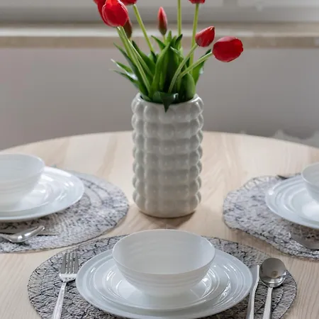 公寓 Park Solec By Renters *